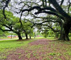 11780 Old Pascagoula Rd Lot 3 #LOT3 - Photo 1 of 1