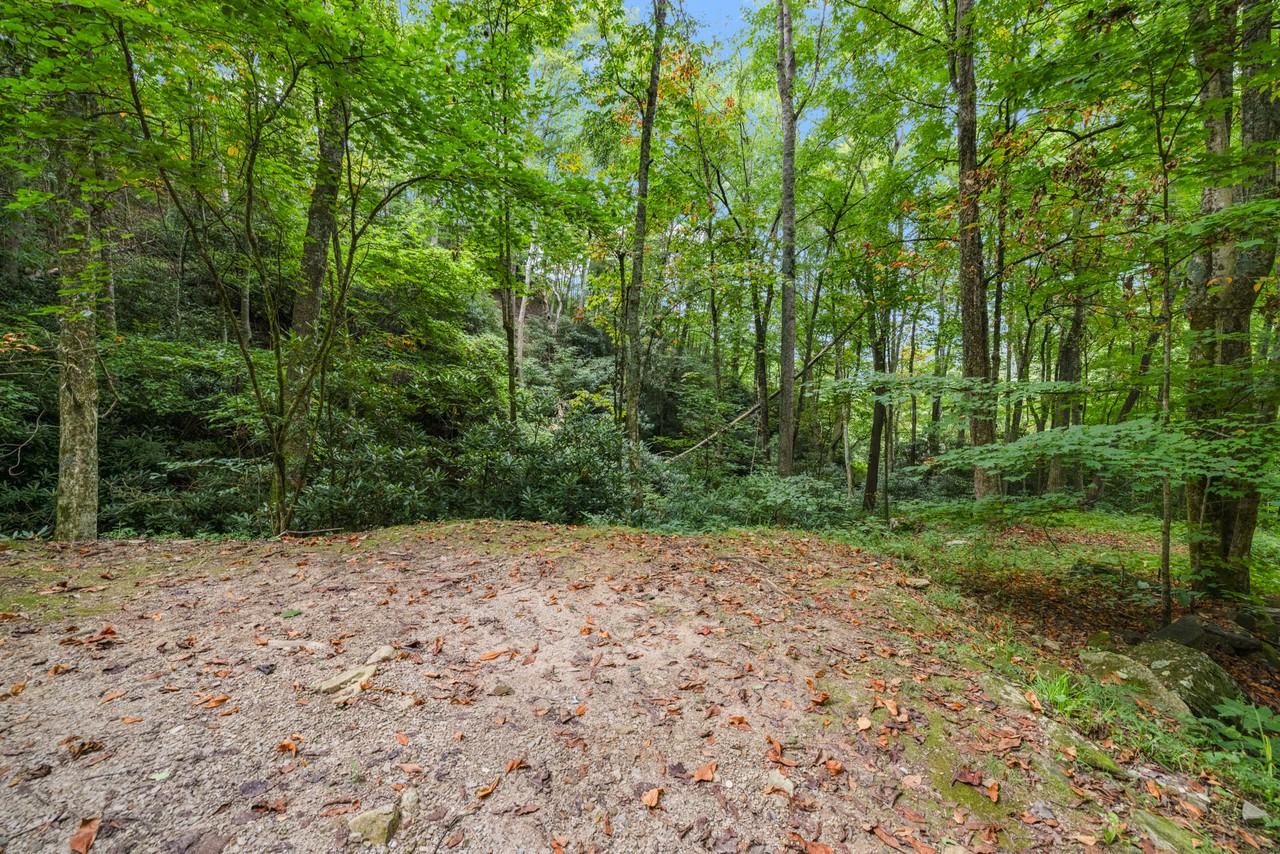 202 Blue Grass Road #1 - Photo 5 of 45