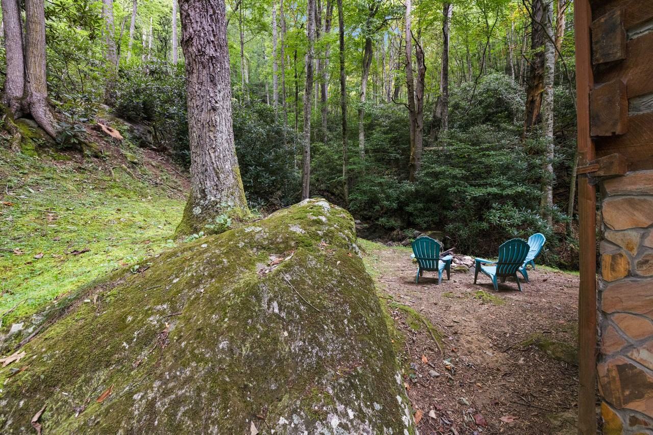 202 Blue Grass Road #1 - Photo 7 of 45