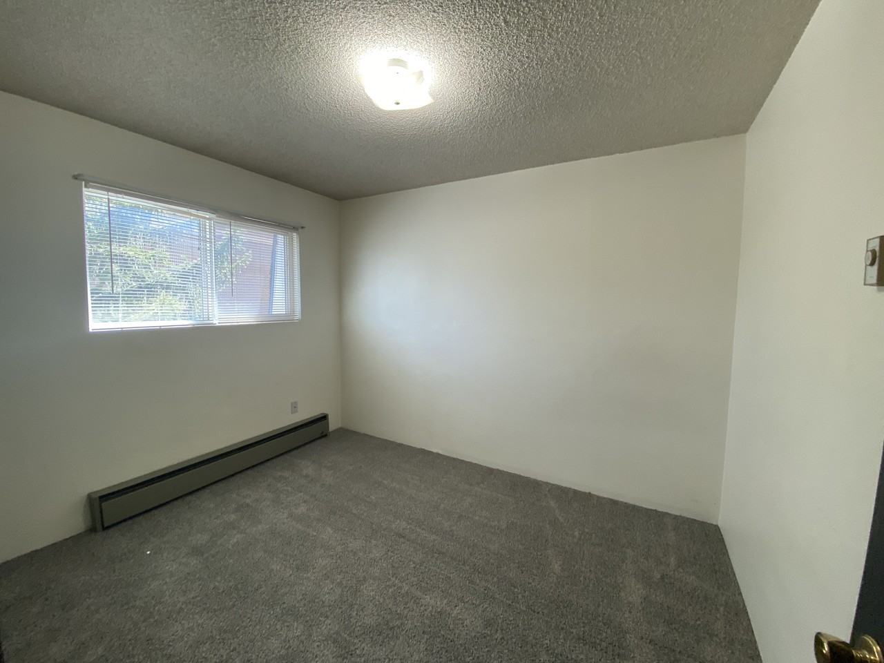 920 Elk Street - Photo 3 of 17