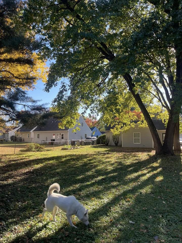 4809 Saint Leo Place #1 - Photo 2 of 12