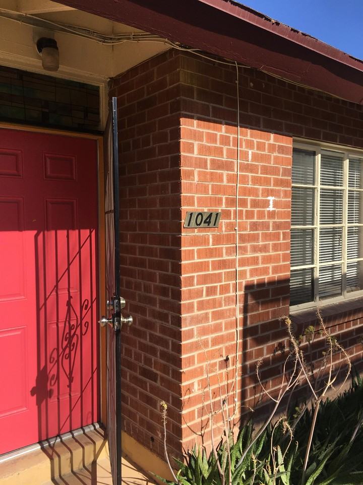 1041 East 9th Street #1041 - Photo 3 of 30