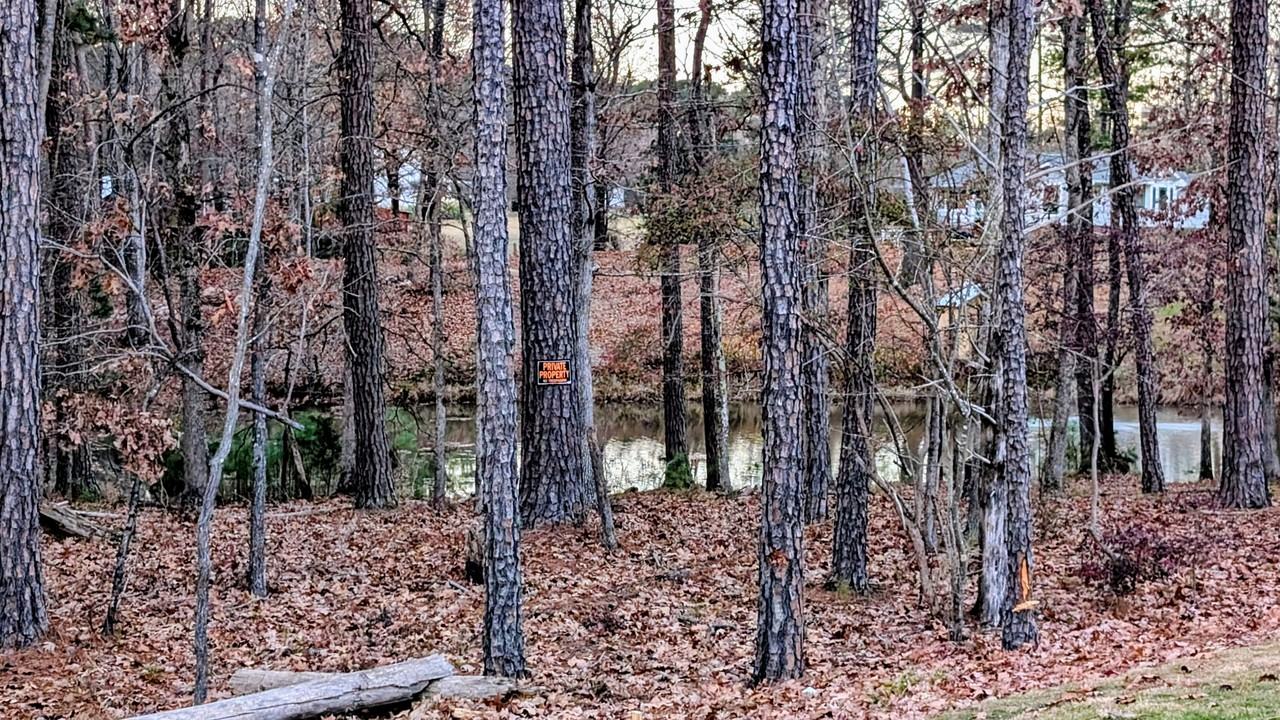 1024 Red Roses Avenue #1 - Photo 3 of 18