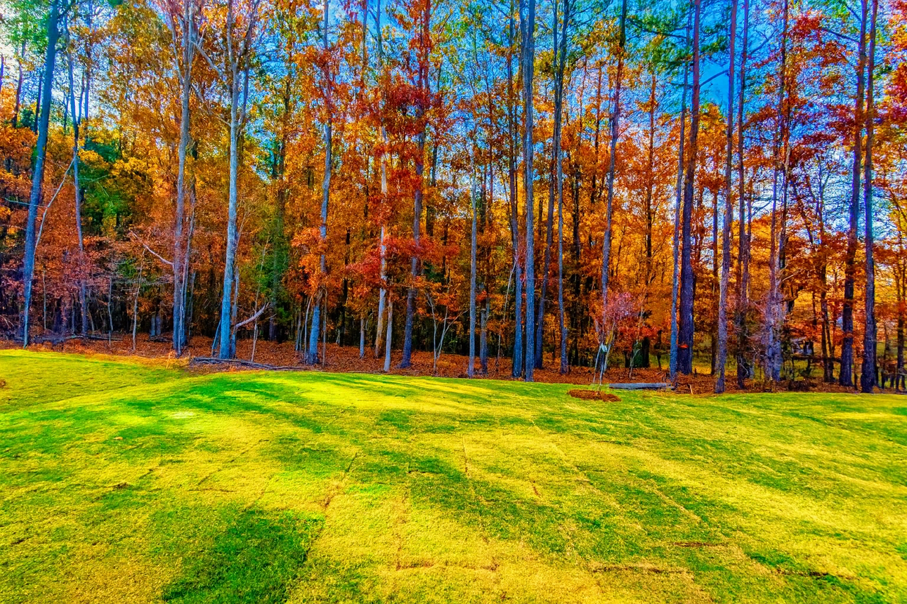 1024 Red Roses Avenue #1 - Photo 5 of 18