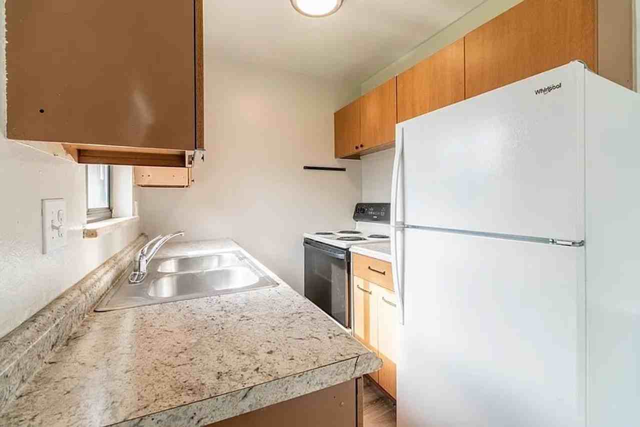 688 Miller Ct #4 - Photo 5 of 14