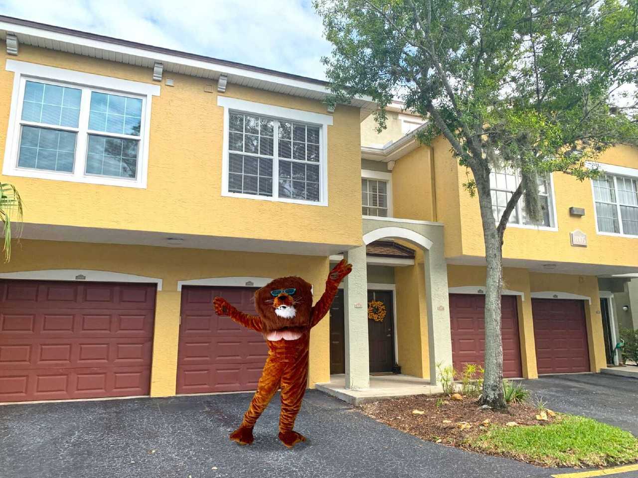 2005 Mariposa Vista Lane - Photo 5 of 43