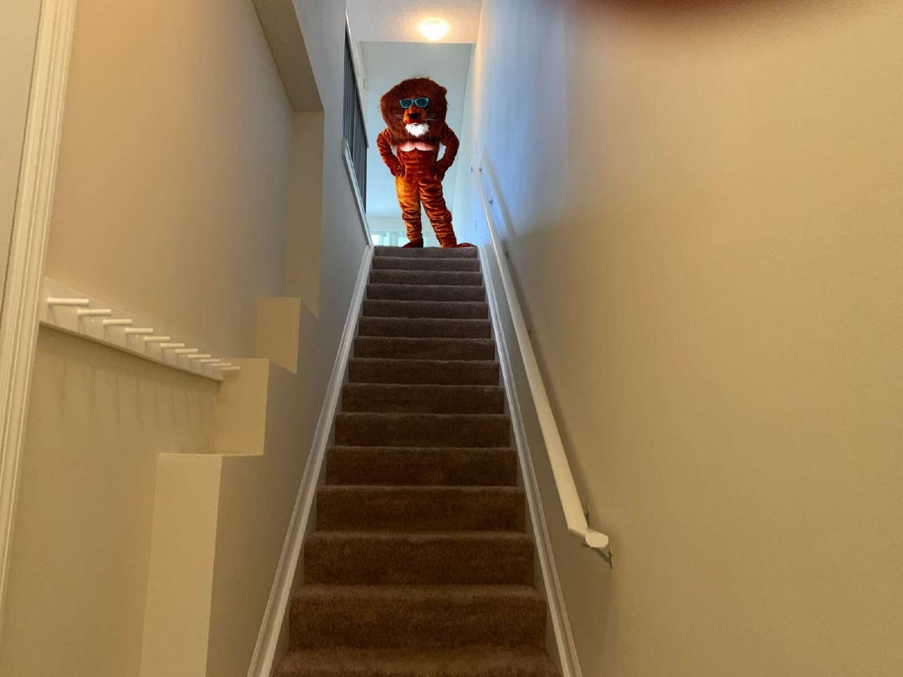 2005 Mariposa Vista Lane - Photo 6 of 43