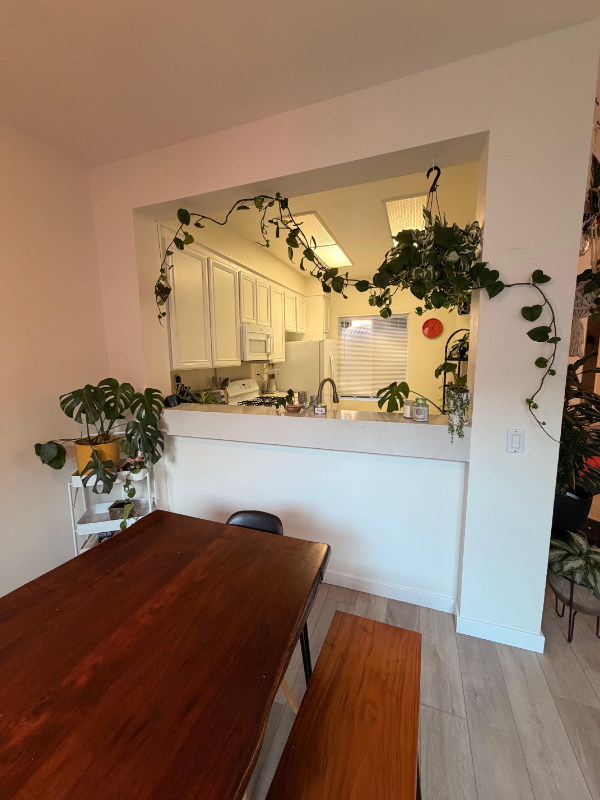 2183 Lago Madero - Photo 2 of 11