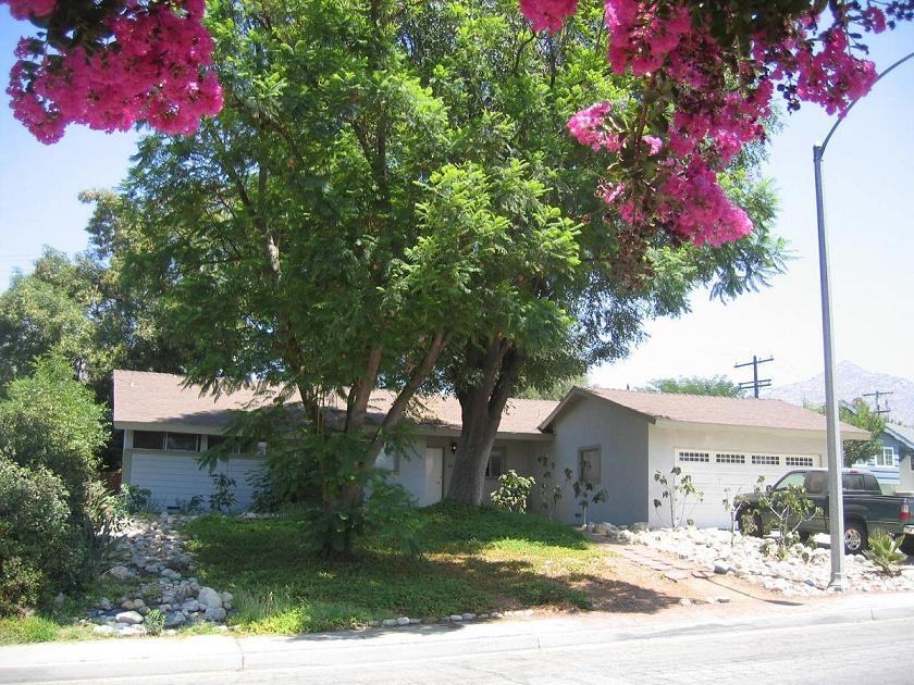 445 Maravilla Dr #BR1 - Photo 7 of 12