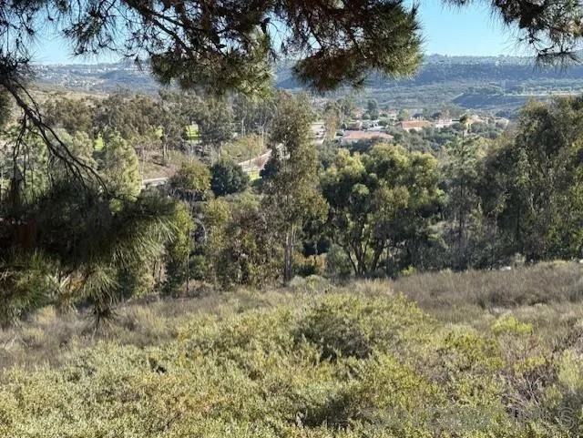 10884 Sabre Hill Drive #10884-310 - Photo 5 of 20