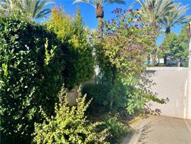 29581 Cara Way #29581 - Photo 1 of 1