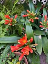 1772 Guy Street #1772 - Photo 1 of 1