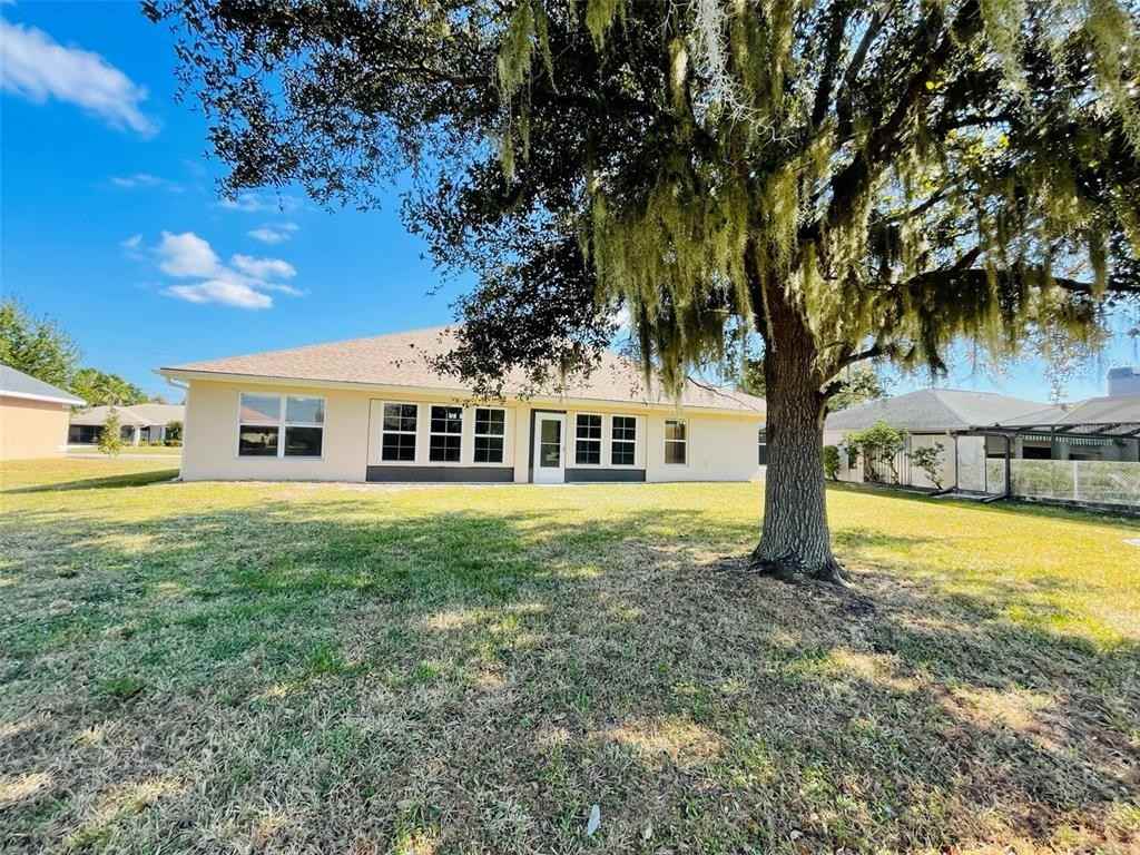 117 Angol St #117 - Photo 3 of 20