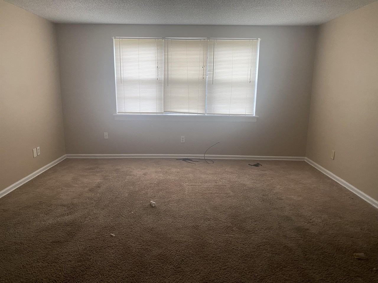 405 N Lafayette Apt 3 - Photo 2 of 7