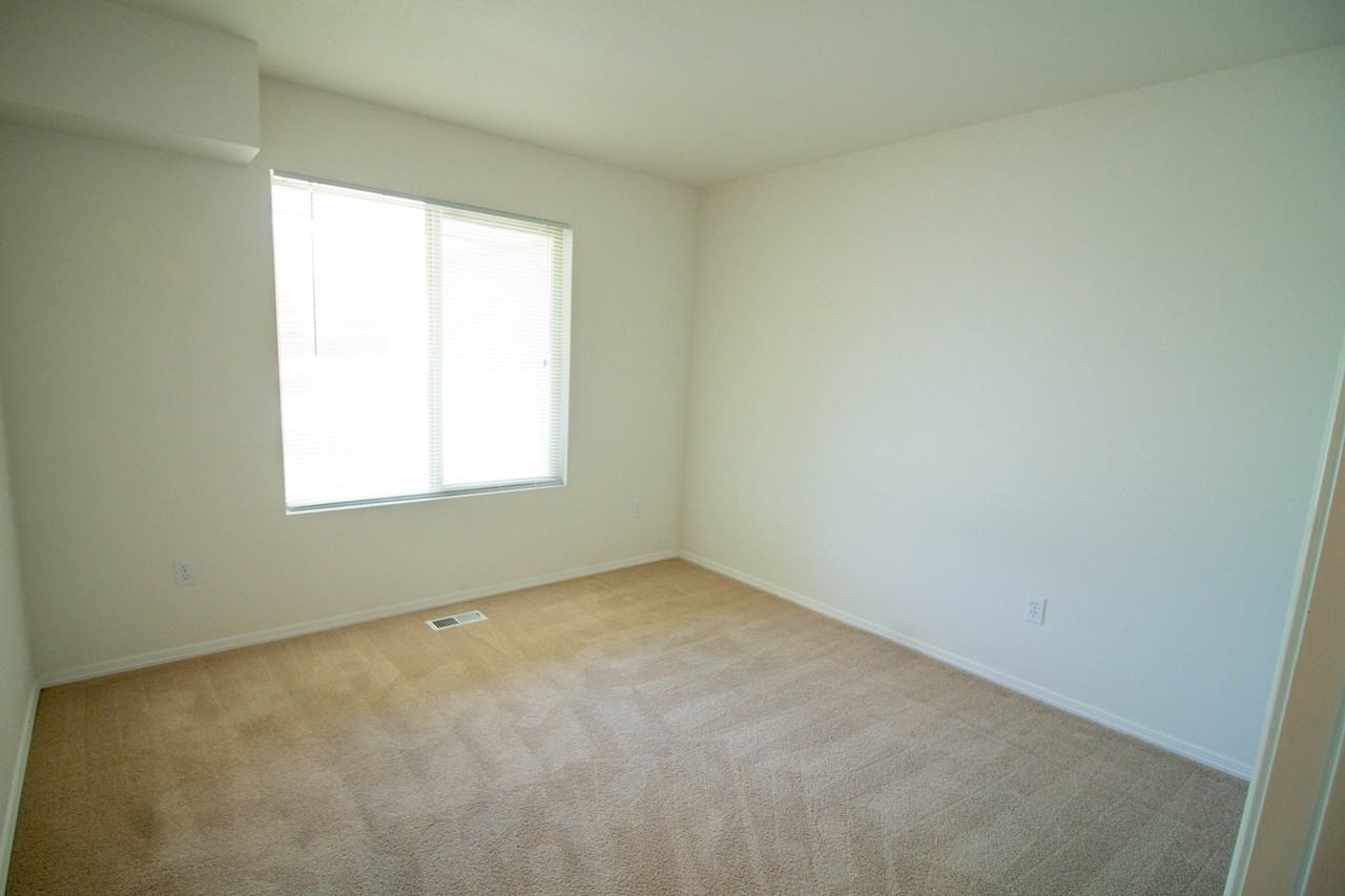 Teddy Place - Photo 2 of 15