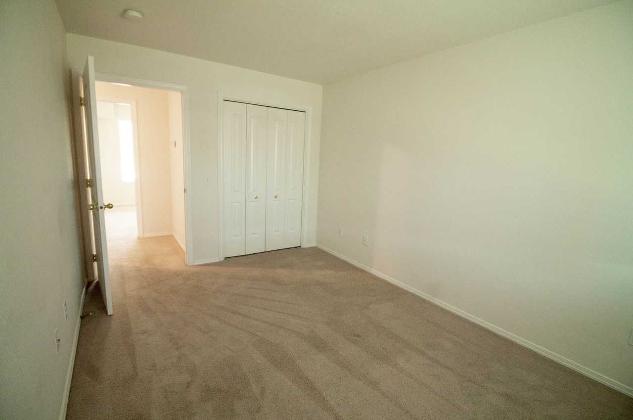 Teddy Place - Photo 3 of 15