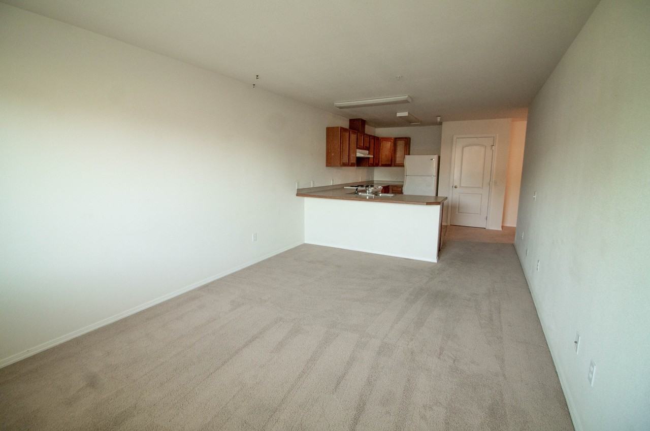 Teddy Place - Photo 5 of 15