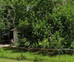 featured image of 8309 Carolwood Drive #1