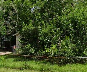 8309 Carolwood Drive #1 - Photo 2 of 2