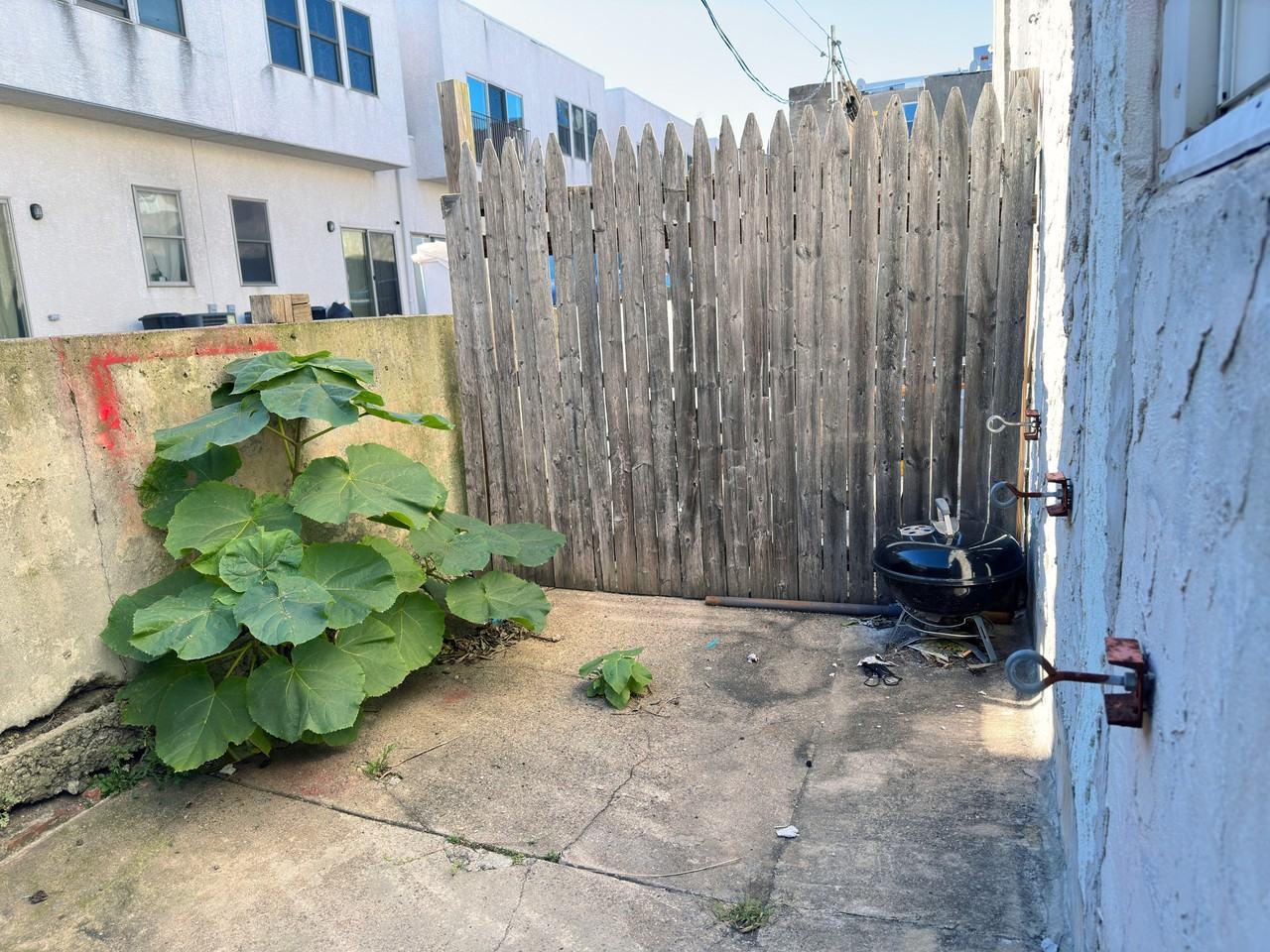 338 Snyder Ave #1 - Photo 2 of 9