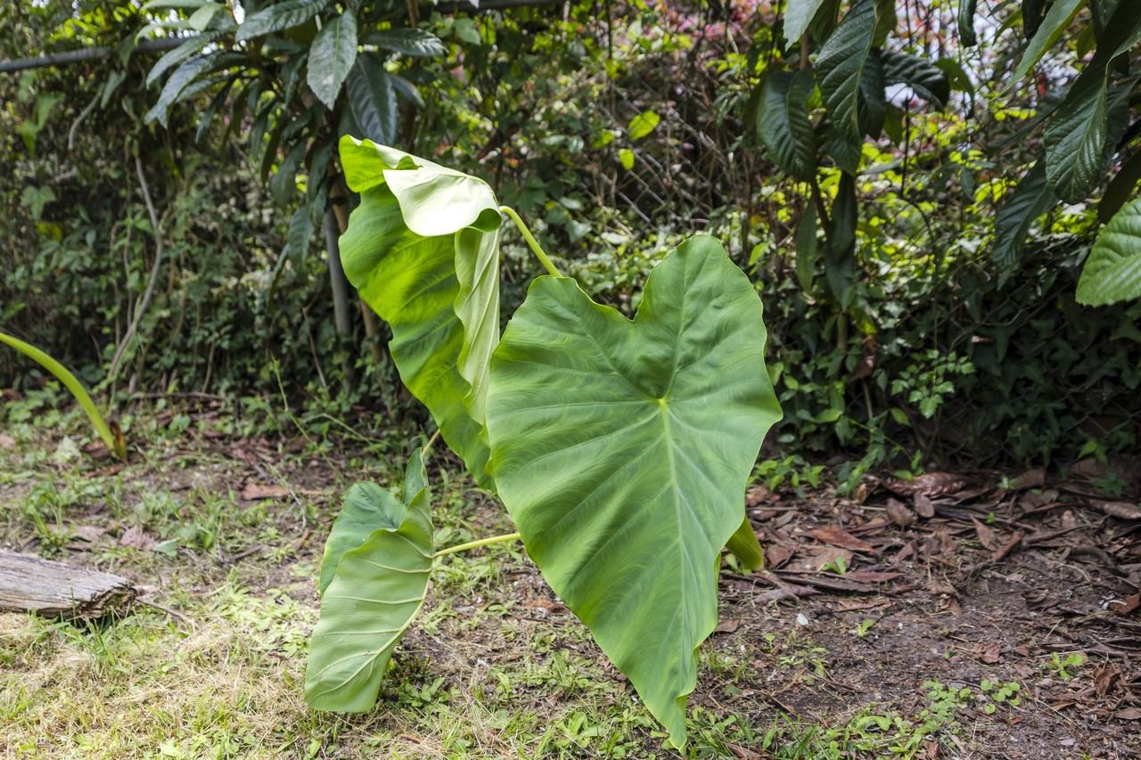 207 Oliver Street #1 - Photo 3 of 30