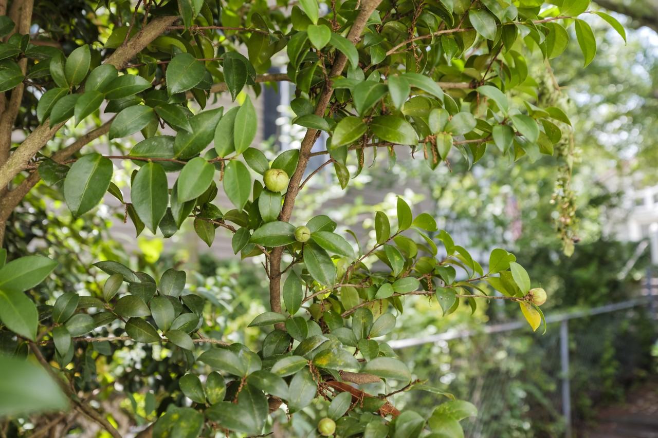 207 Oliver Street #1 - Photo 5 of 30