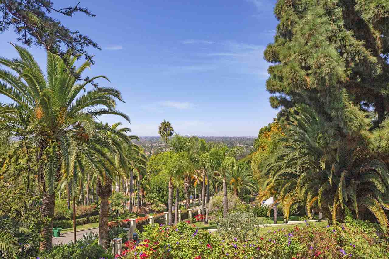 1731 La Loma Drive #1 - Photo 4 of 13