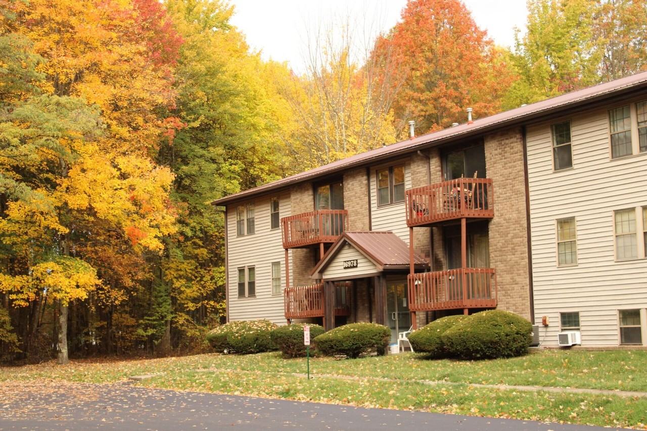 16978 Berkshire Drive #16978-203 - Photo 3 of 6