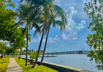 223 223 S Palmway - 5 #5 - Photo 7 of 9