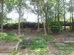 6229 Bell's Mill Drive #1 - Photo 6 of 11