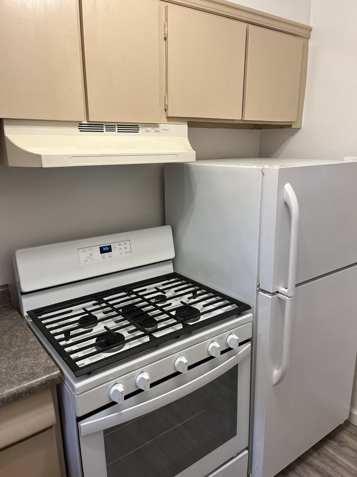 1329 North Jenison Avenue #1 - Photo 3 of 9