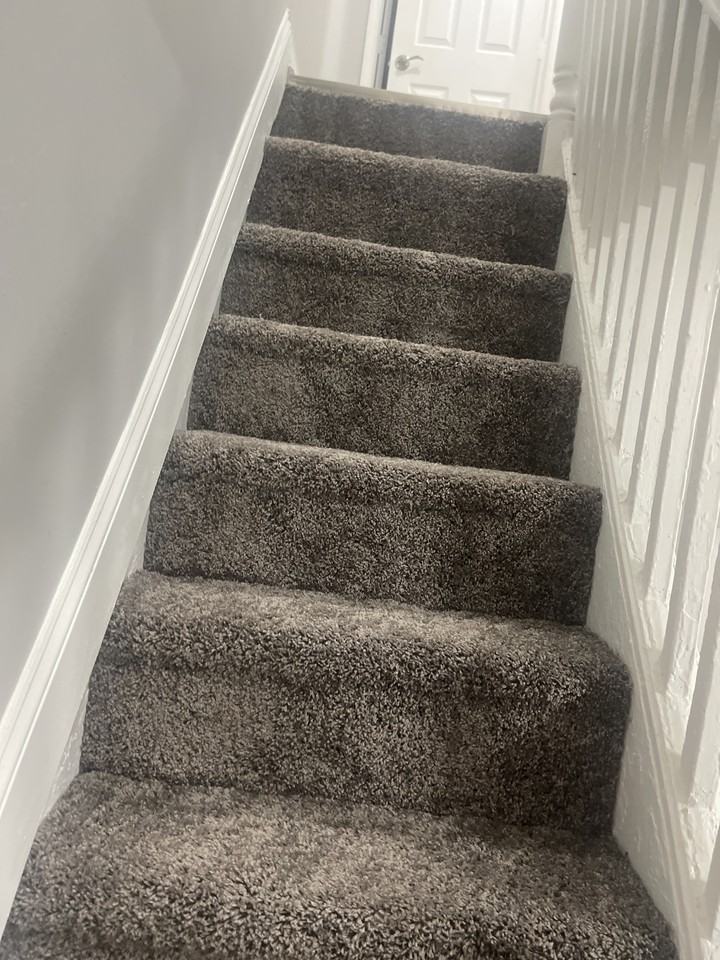 1748 South Taylor Street #1 - Photo 7 of 13