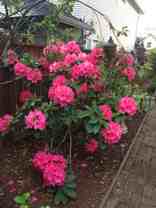 1728 26th Avenue South #1 - Photo 1 of 1