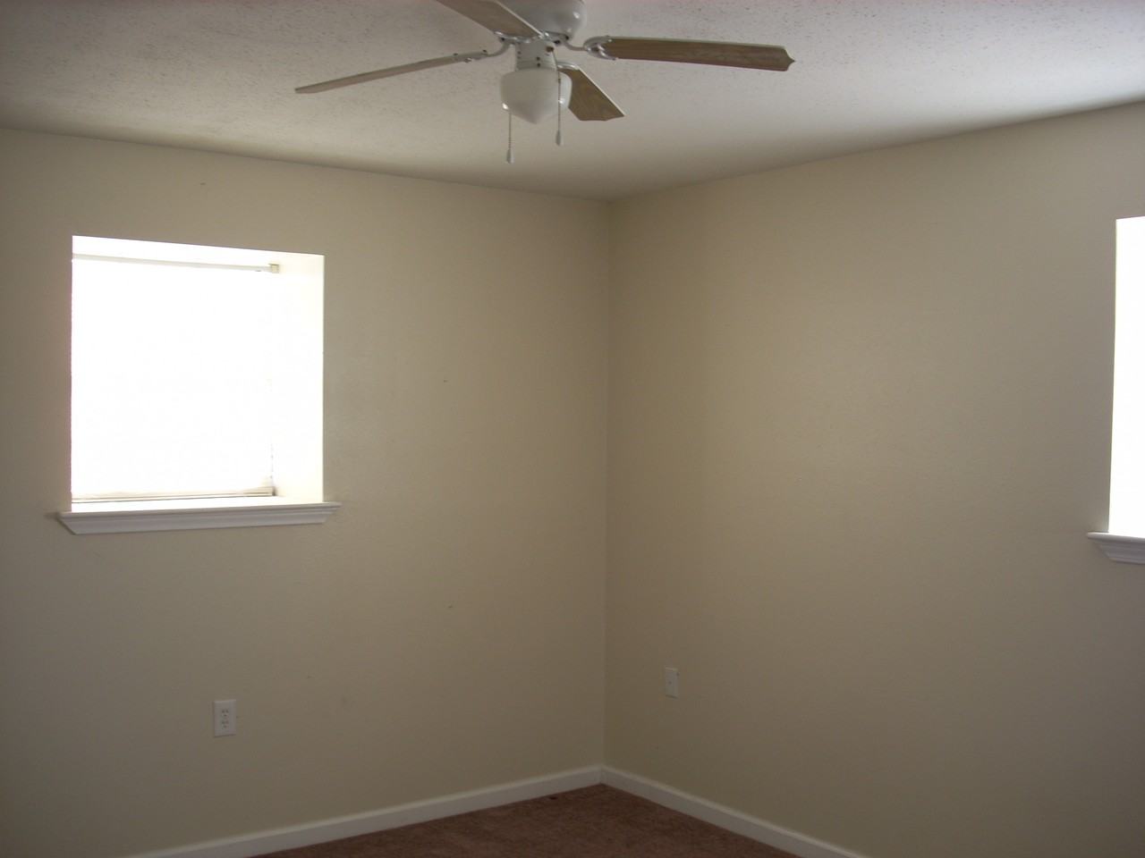 3613 Golden Drive #B - Photo 6 of 9