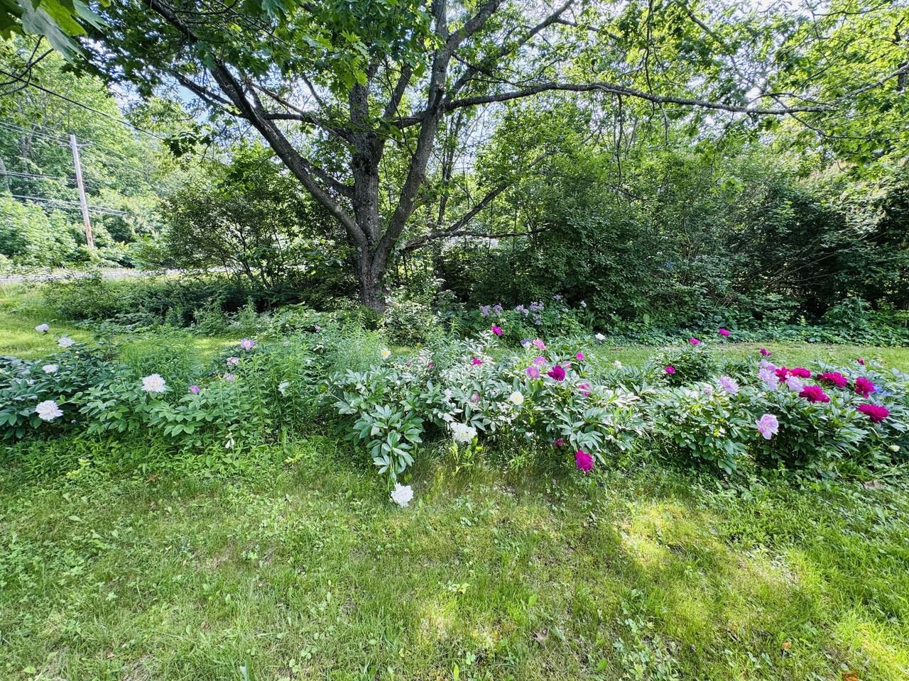 2514 Western Ave #1 - Photo 5 of 33