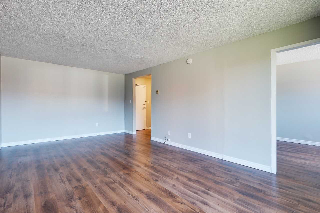 820 Suzanne St #3B - Photo 5 of 15