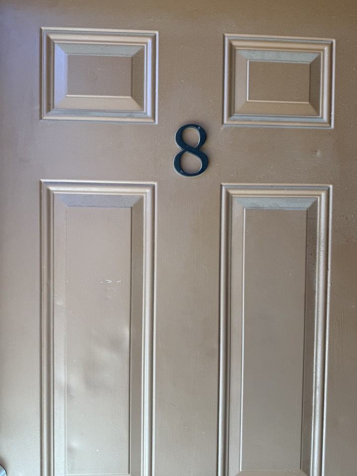 650 Buena Vista Street #8