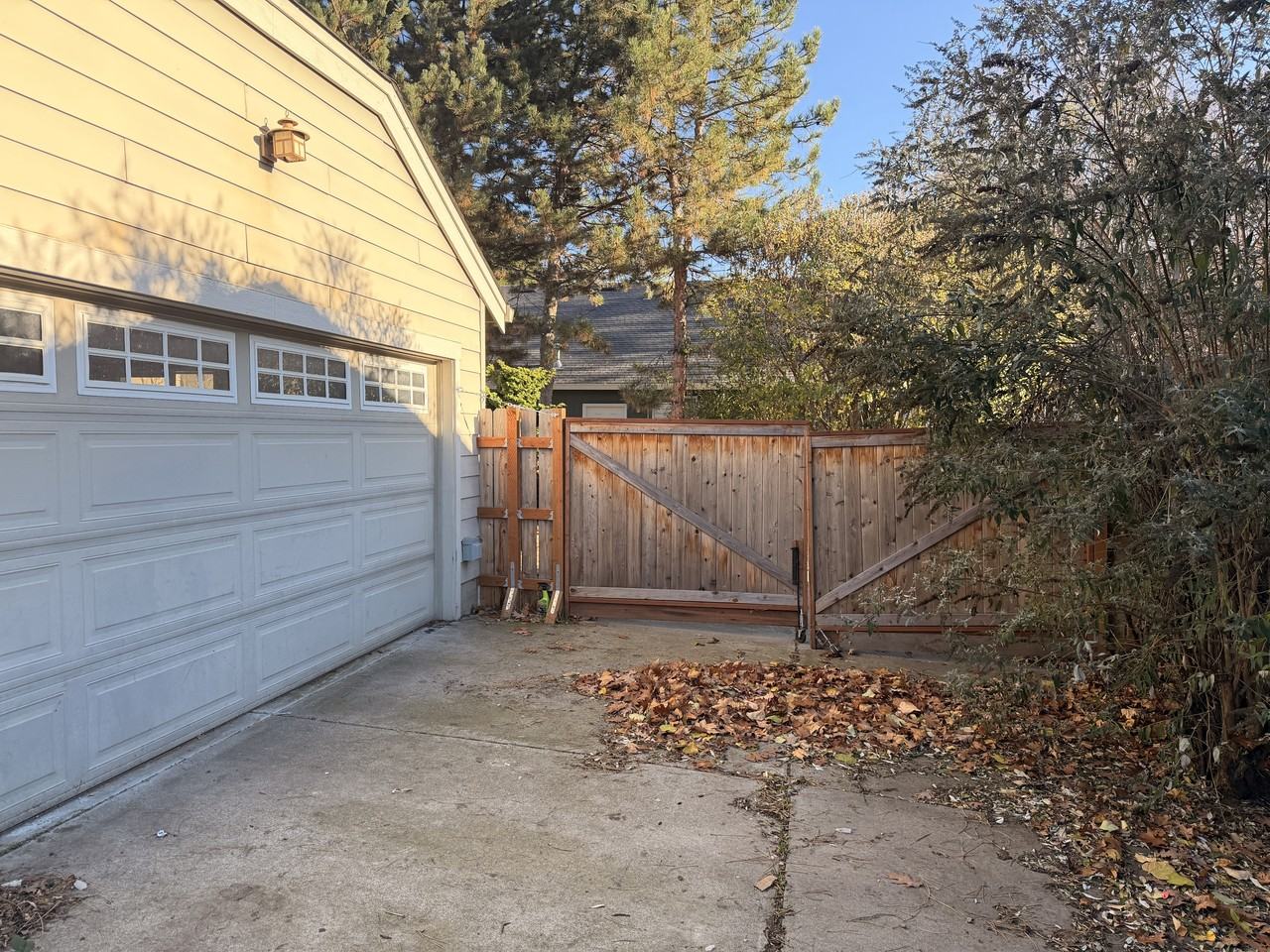 164 Graham Way #SF - Photo 5 of 16