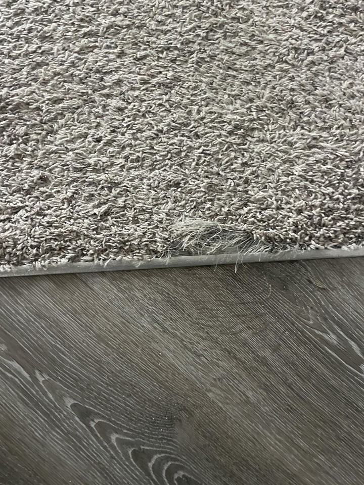 2301 Cloudberry Dr #2301 - Photo 2 of 23