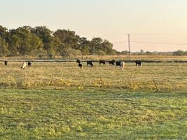 featured image of 5260 Southwest 1140 #1