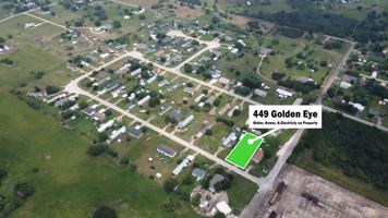 featured image of 449 Golden Eye Loop #449