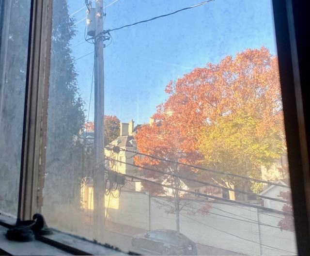 163 King George Street #3 - Photo 2 of 6