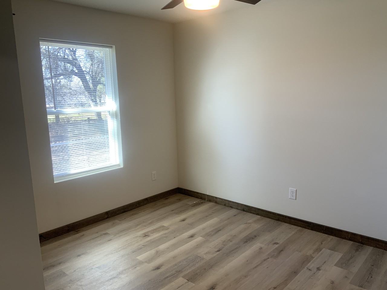 Lane Street #111SOPHIA - Photo 5 of 11