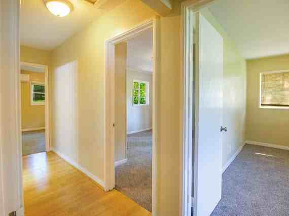 316 Pine Street #1 - Photo 4 of 9