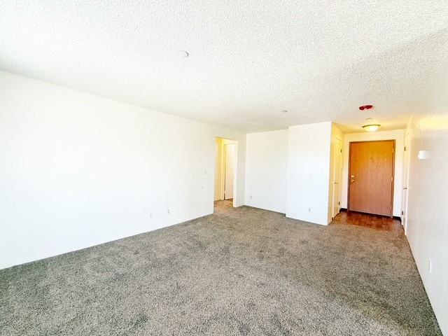 2127 12th St #C210 - Photo 7 of 24