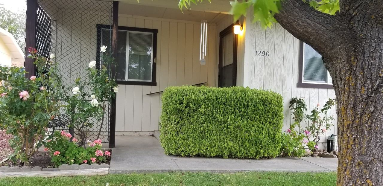 1290 Aloha Street #1