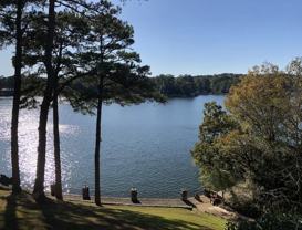 203 Stearns Point #B1 - Photo 1 of 1