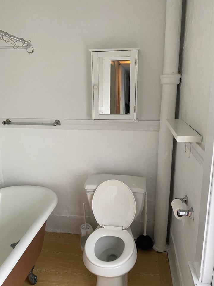 407 Cascadilla St #2UP - Photo 7 of 8