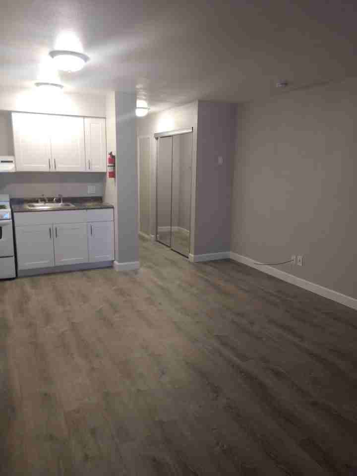 415 Millers Avenue #204