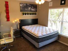 1310 Daytona Avenue #5 - Photo 1 of 1